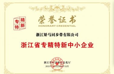 浙江省专精特新中小企业-浙江矫马同步带有限公司