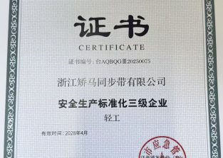 浙江矫马同步带有限公司荣获安全生产标准化三级企业认证